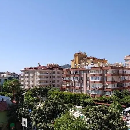 Park فندق